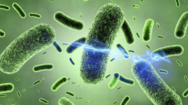 product/mesp-kill-virus-01.jpg