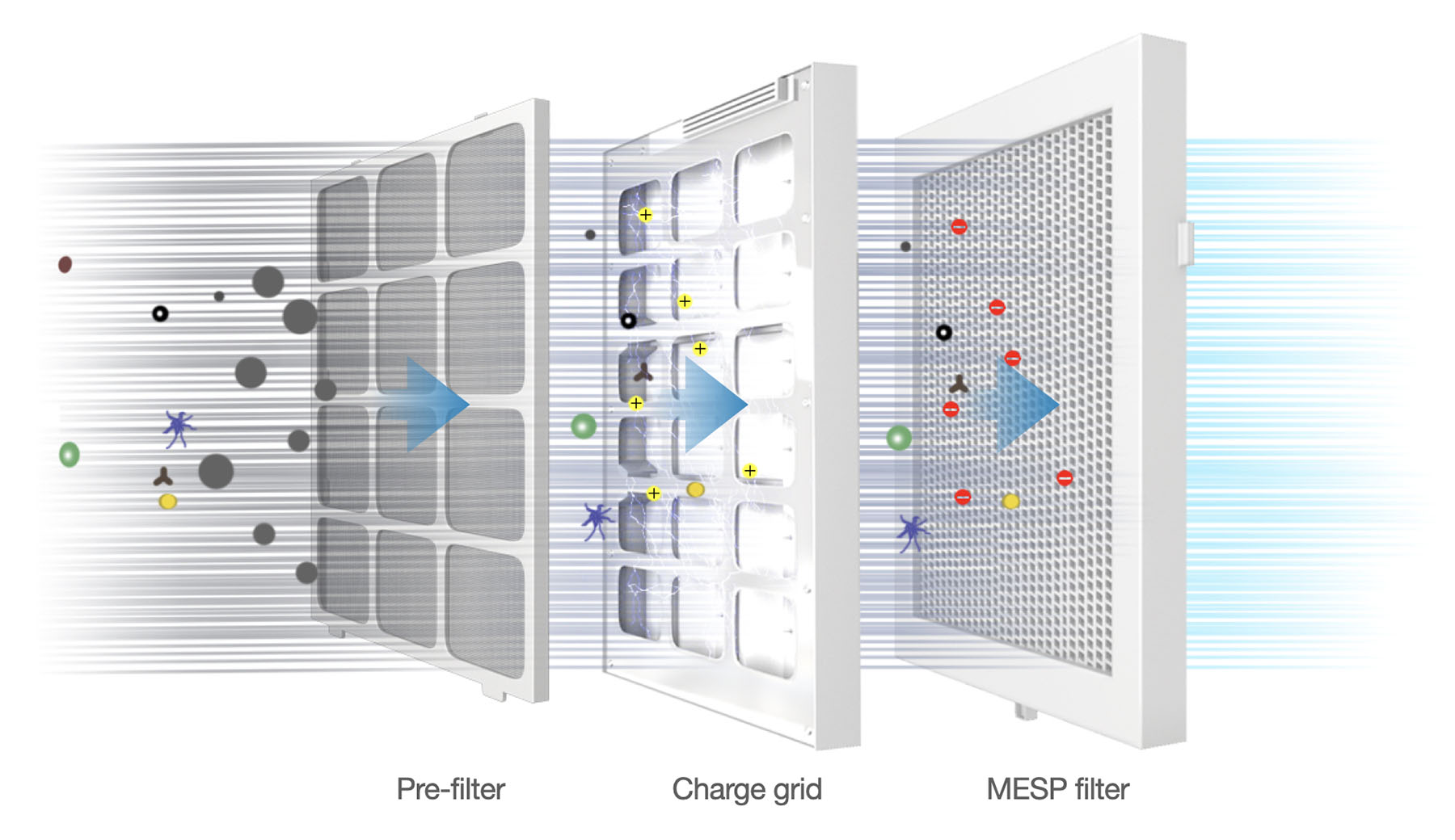 product/mesp-structure.jpg